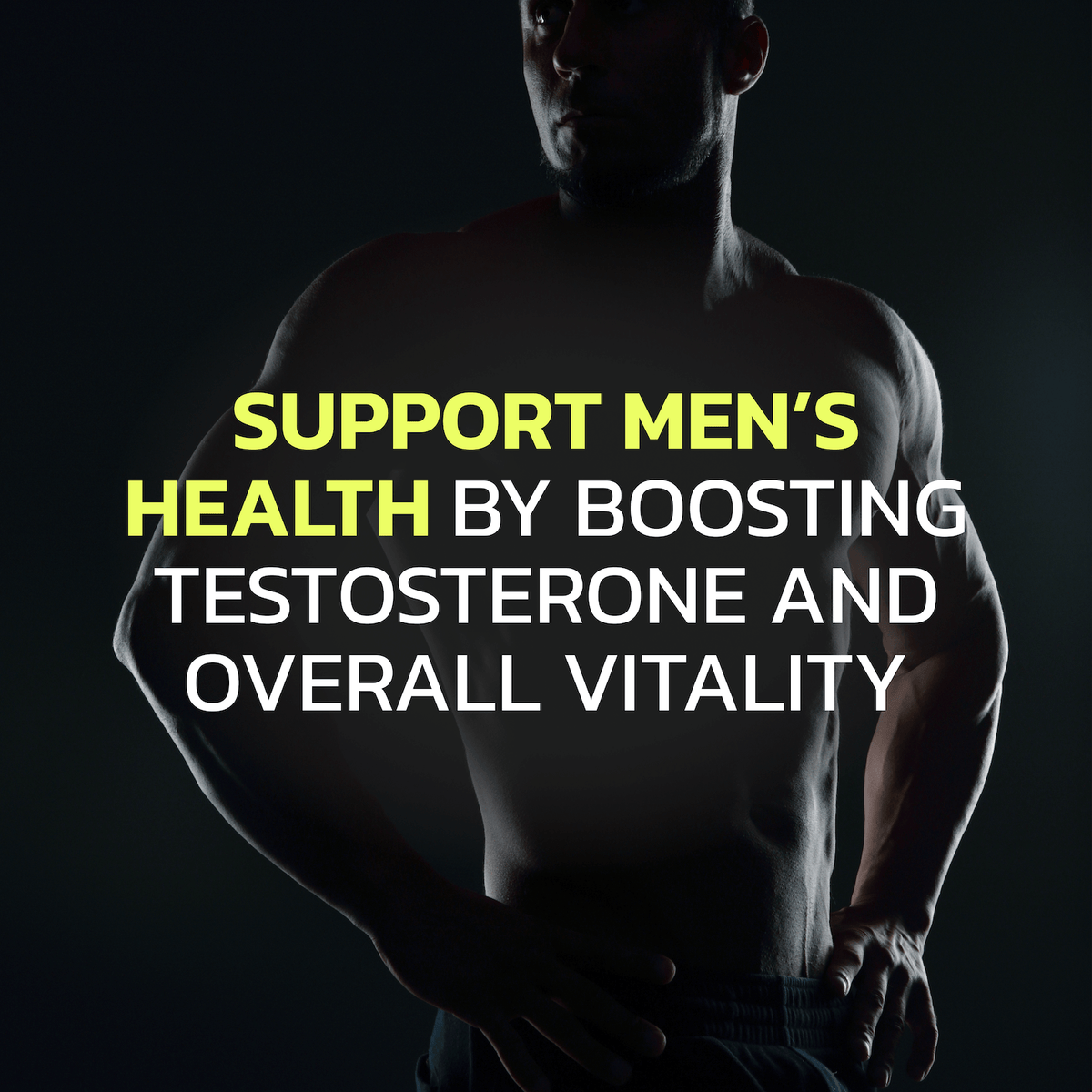 Ultra Testosterone Booster